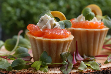 Delicious canape with salmon, cottage cheese, olive with micro greens on a dark background. Cold...