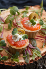 Delicious canape with salmon, cottage cheese, olive with micro greens on a dark background. Cold...