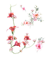 watercolor painting of leaves and flower, on white background