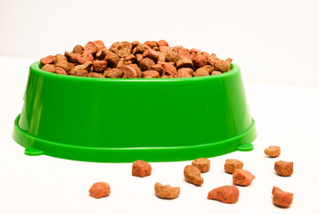 dry food for dogs in plastic bowl