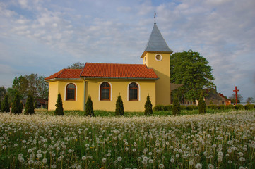 Church and field of dandelions