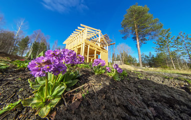 Construction of a frame house