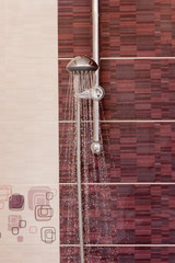 Water streams flow out of working shower head right down.