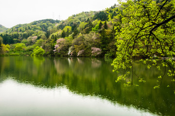 The reflection of the water is beautiful Korean reservoir Hwasun Selyangji.