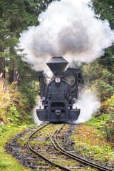 Steam locomotive in forest railways in museum of Kysuce village, Slovakia, Europe