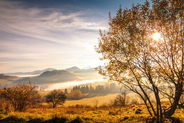 Mountain landscape in the morning with the backlight of sun in the north of Slovakia, Europe.