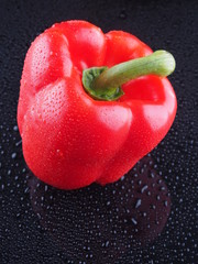 Pepper on a dark background