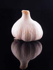 Garlic on a dark background