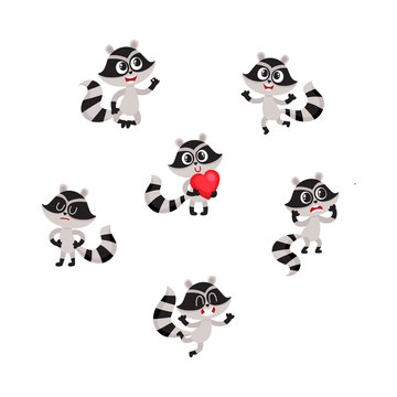 Set of cute raccoon character in different poses and positions, cartoon vector illustration isolated on white background. Funny little raccoon character showing different emotions