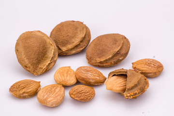 Apricot kernel