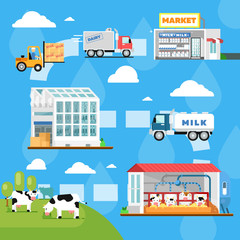 Eco milk manufacturing infographics. Stages of milk production vector illustration. Cow farm, transportation and processing on milk factory, fresh and healthy dairy products distribution in market.