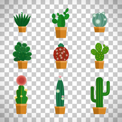 Cactus icons in flat style