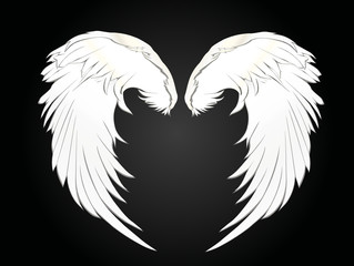 Wings. Vector illustration. Black and white style