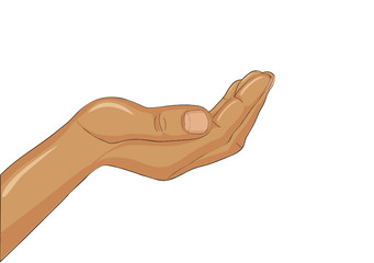 Gesture open palm. Hand gives or receives. Vector 