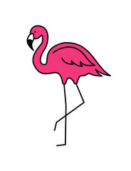Flamingo vector