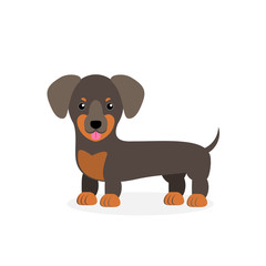 Vector illustration of a dog. Children's stylized picture. Dachshund