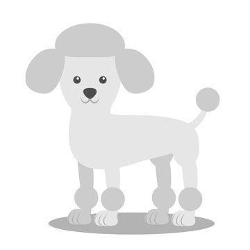 Vector illustration of a dog. Children's stylized picture. Poodle