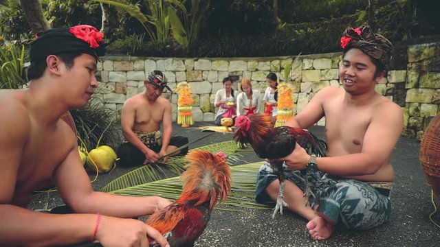 Two balinese man playing with roosters, man making something from palm leaf, women making offerings