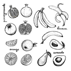 Vegan Menu - set of hand-drawn objects - banana, pomegranate, orange and avocado