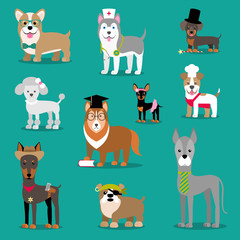Vector illustration of a dog. Children's funny pictures. Animals with accessories.