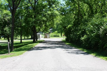 The park road on a sunny day.