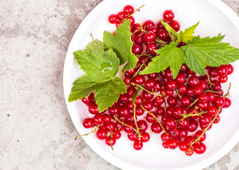 red current in plate Concrete background