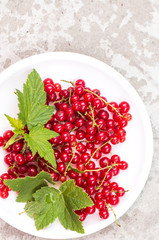 red current in plate Concrete background