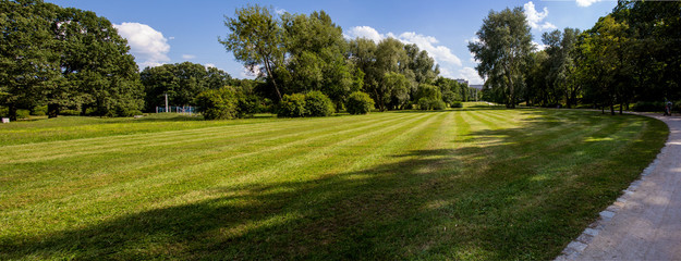 Park panorama on sunny summer day.