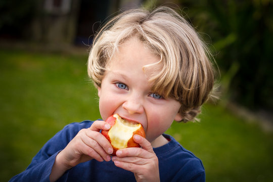 Cute 5 Year Old Child Eating An Apple