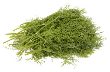 dill on a white background
