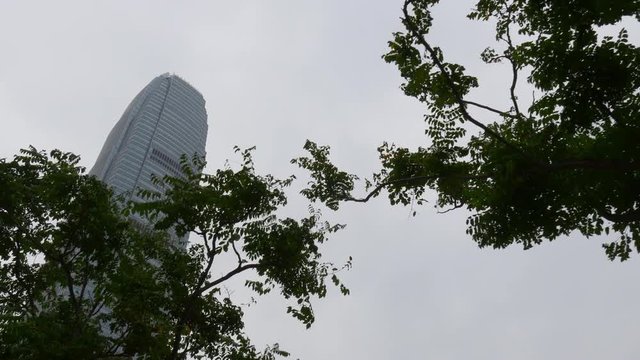 hong kong day time park famous ifc tower walking up panorama 4k china
