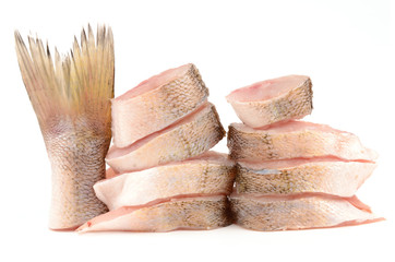 pike perch on a white background