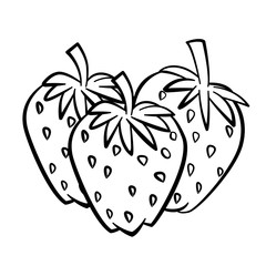   Line Drawing of Strawberry -Simple line Vector