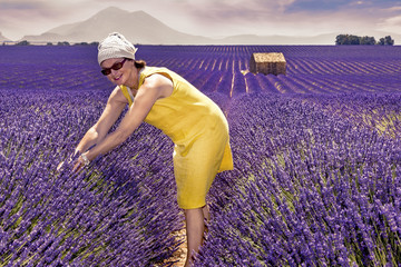 Woman in lavender field