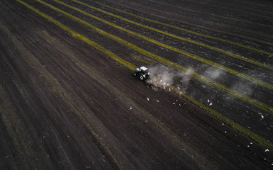 The white tractor plows the field against the backdrop of the black earth, and behind it birds fly and collect food. Aeril view. Agricultural machinery works in the field of spring planting. Plowing