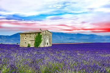 Naklejka na ściany i meble Landscape in Provence