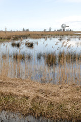 The Hercules mill at Zaandijk, the Netherlands