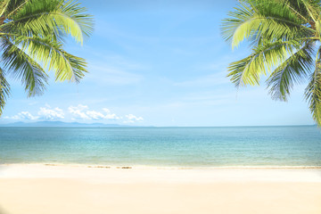 Fototapeta na wymiar tropical sea beach with coconut tree. copy space ready for your text.