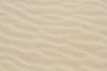Fototapeta na wymiar A full frame, background image of the surface of a sandy beach with soft, rippled effect sand that is light brown in colour.
