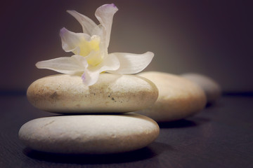 Stones for massage with a flower of orchid dendrobium on a wooden surface