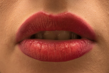 Fototapeta premium Lips