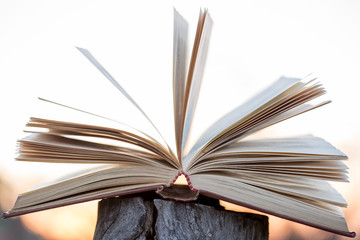 Education and wisdom concept - open book under sunlight