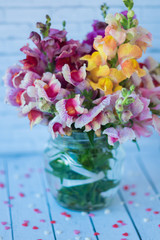 Still life. A bouquet of bright flowers, garden roses, in a jar of water on a light background. A romantic picture.