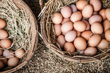 Fresh chiken eggs in straw baskets