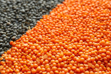 Red and black lentils background