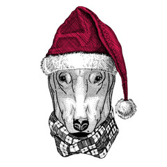 DOG for t-shirt design Christmas illustration Wild animal wearing christmas santa claus hat Red winter hat Holiday picture Happy new year
