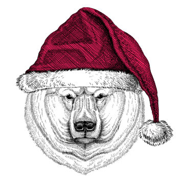 Polar bear Christmas illustration Wild animal wearing christmas santa claus hat Red winter hat Holiday picture Happy new year