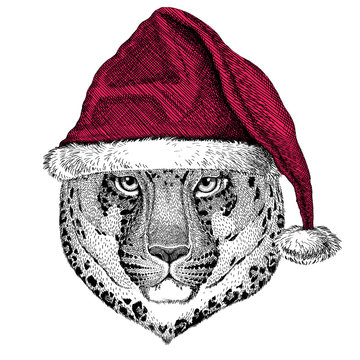 Wild cat Leopard Cat-o'-mountain Panther Christmas illustration Wild animal wearing christmas santa claus hat Red winter hat Holiday picture Happy new year