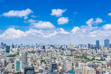 Fototapeta premium Krajobraz miasta Tokio