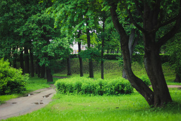 Летний парк